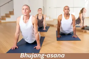 Bhujangasana 