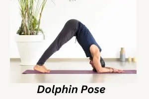 Dolphin Pose