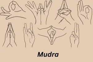 
Mudra Yoga