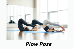 Plow pose yoga