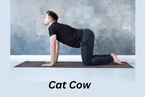 Cat-Cow Yoga Pose 