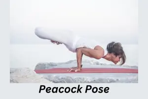 Peacock Pose