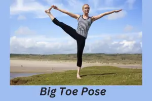 Big Toe Pose (Padangusthasana)