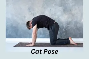 Cat Pose yoga