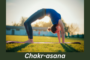 chakrasana yoga